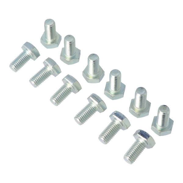 bout zeskant m10x20mm 12pcs
