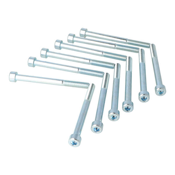 Bout Inbus M8X90MM 12PCS