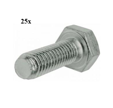 bout zeskant m6x50mm 25pcs