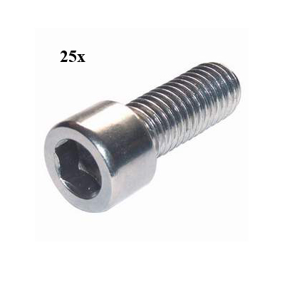 bout inbus m6x10mm 25pcs